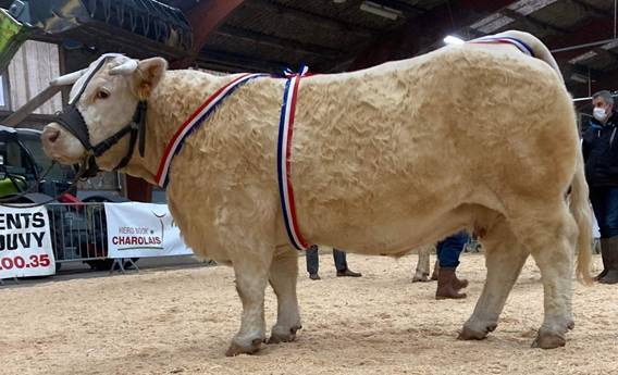 Peut tre une image de 1 personne et animal