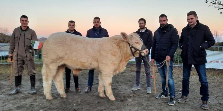 Peut tre une image de 6 personnes, personnes debout, animal et plein air