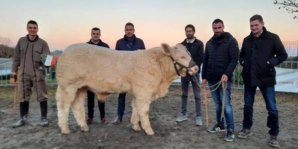 Peut tre une image de 6 personnes, personnes debout, animal et plein air